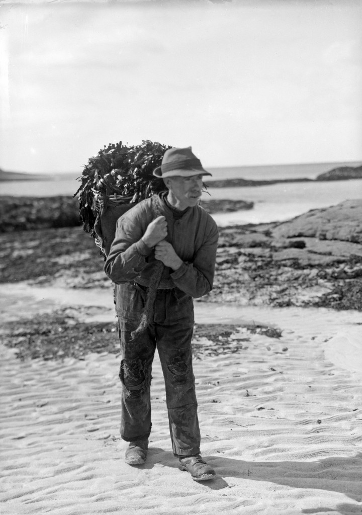 Back and Pony Creels of the Highlands and Islands Basket Types
